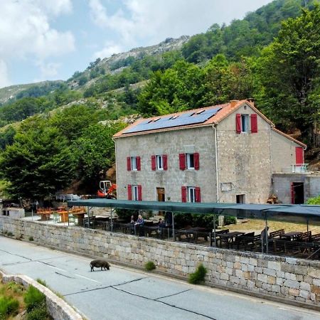 Ferme Auberge Du Col De La Vaccia Olivese Exteriör bild