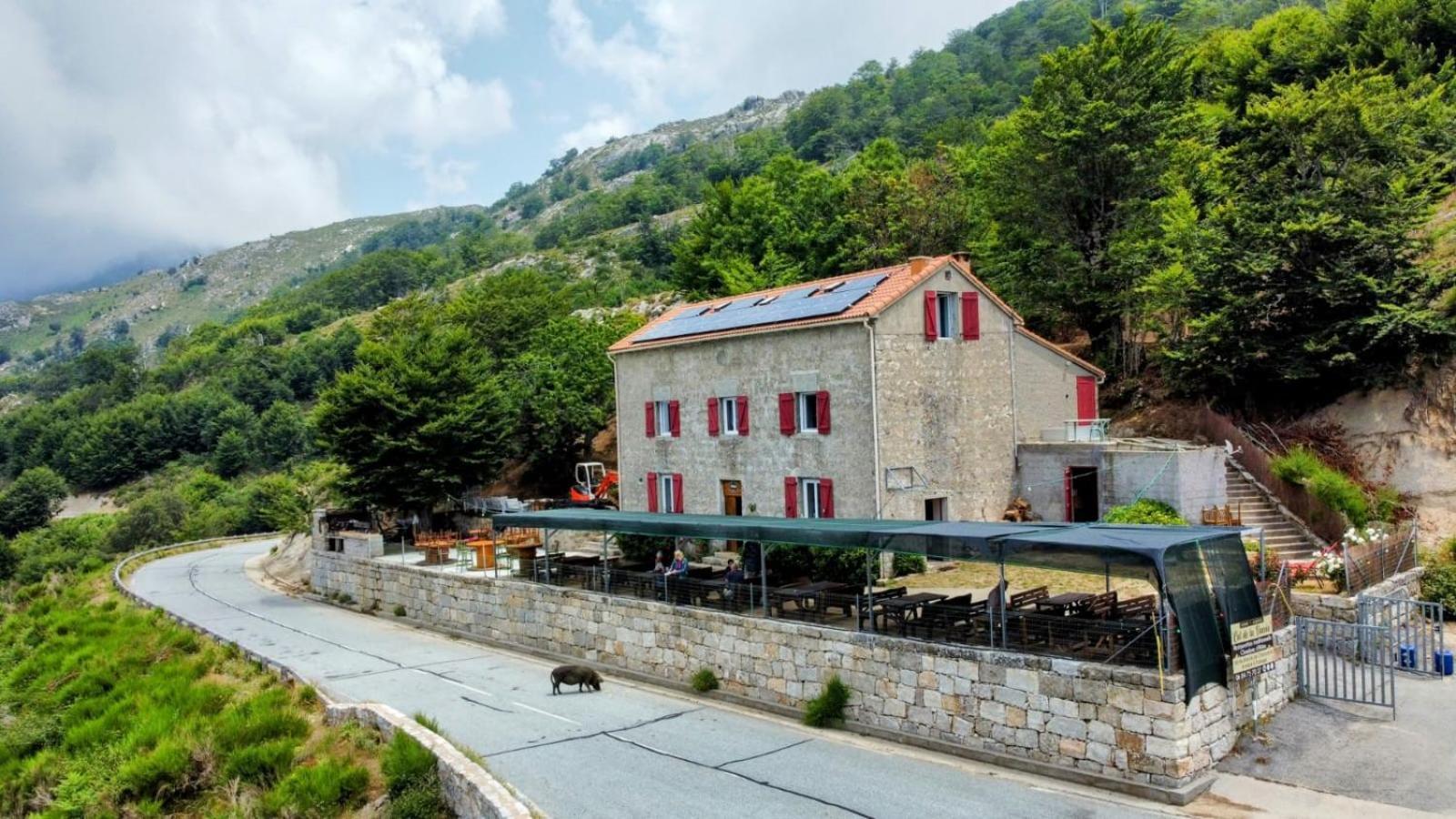 Ferme Auberge Du Col De La Vaccia Olivese Exteriör bild
